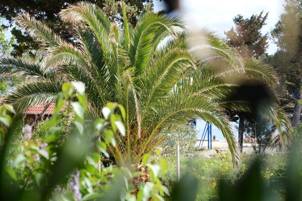 Apartments Katarina Veli Rat Εξωτερικό φωτογραφία