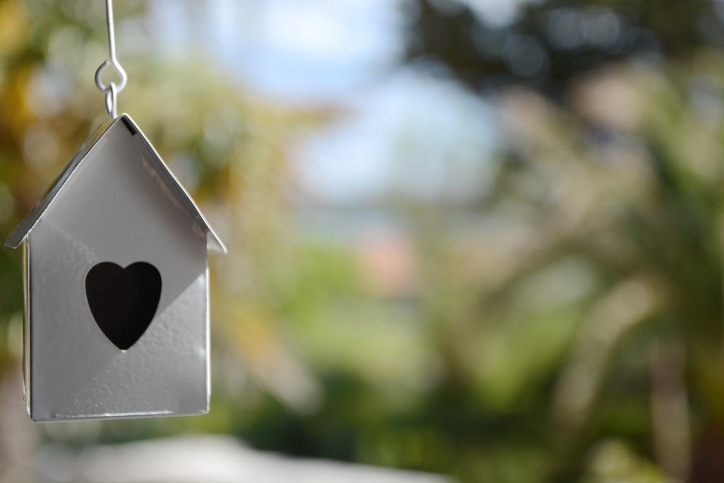 Apartments Katarina Veli Rat Εξωτερικό φωτογραφία